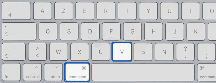 Command + V