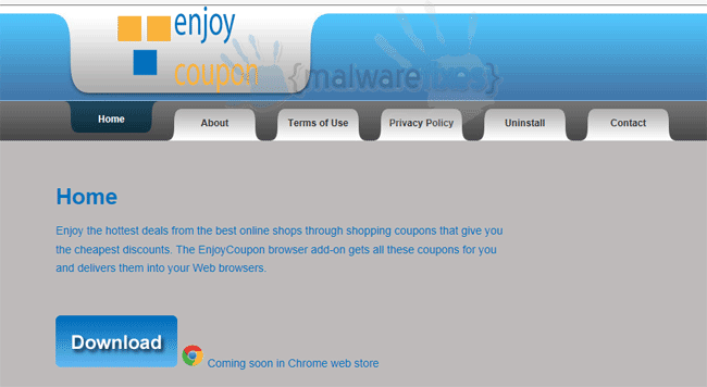 Screenshot of EnjoyCoupon website