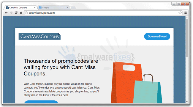 Screenshot image of Cant Miss Coupons website