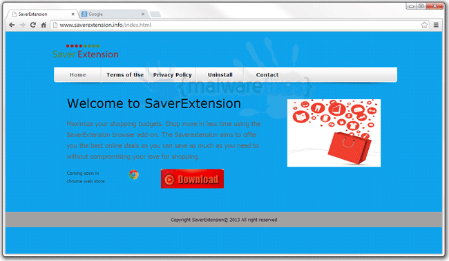 Screenshot of SaverExtension website