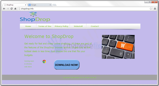 Image of ShopDrop website