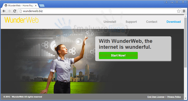 Screenshot of Wunderweb website