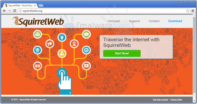 Screenshot of SquirrelWeb website