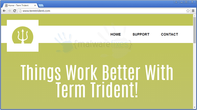 Image of Term Trident website