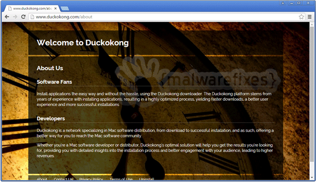 Screenshot of Duckokong