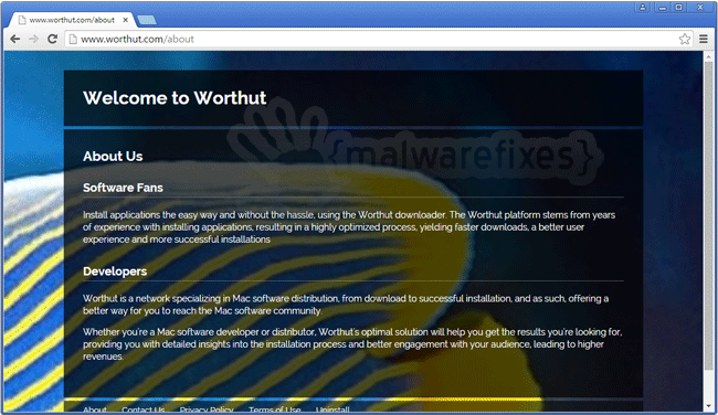 Screenshot of Worthut