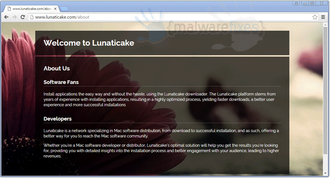 Screenshot of Lunaticake website