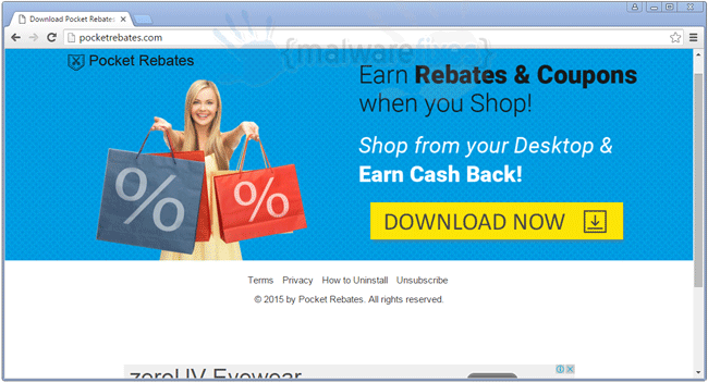 Image of Pocket Rebates website