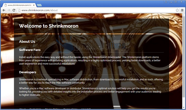 Screenshot of Shrinkmoron website