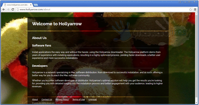Screenshot of Hollyarrow website