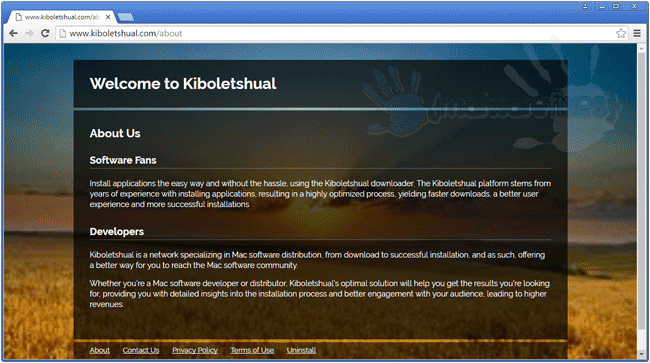 Screenshot of Kiboletshual