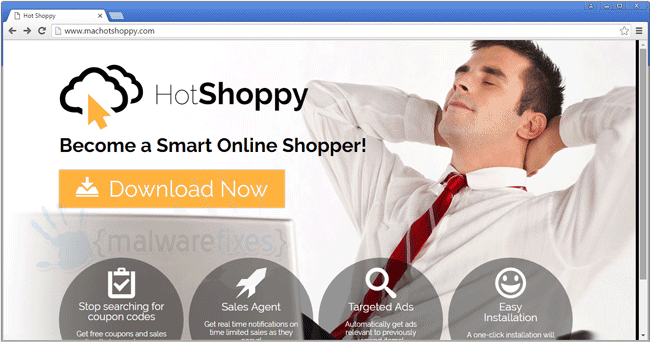 Screenshot of HotShoppy Ads