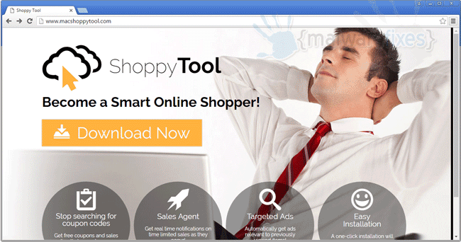 Screenshot of ShoppyTool Ads