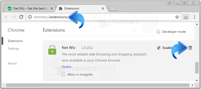 Net Wiz Chrome Extension