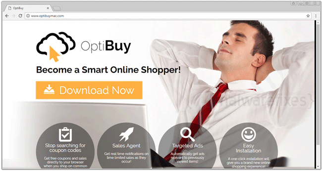 Image of OptiBuy Website