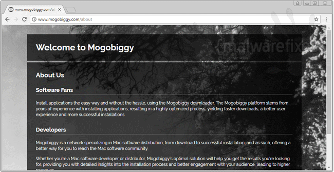 Screenshot of Mogobiggy website