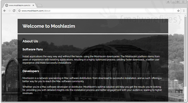 Screenshot image of Moshlezim website