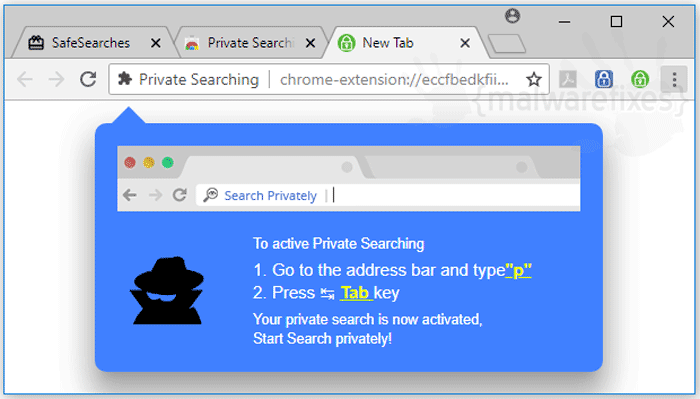 Image of Private Searching website