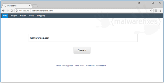 Image of Search.opengross.com