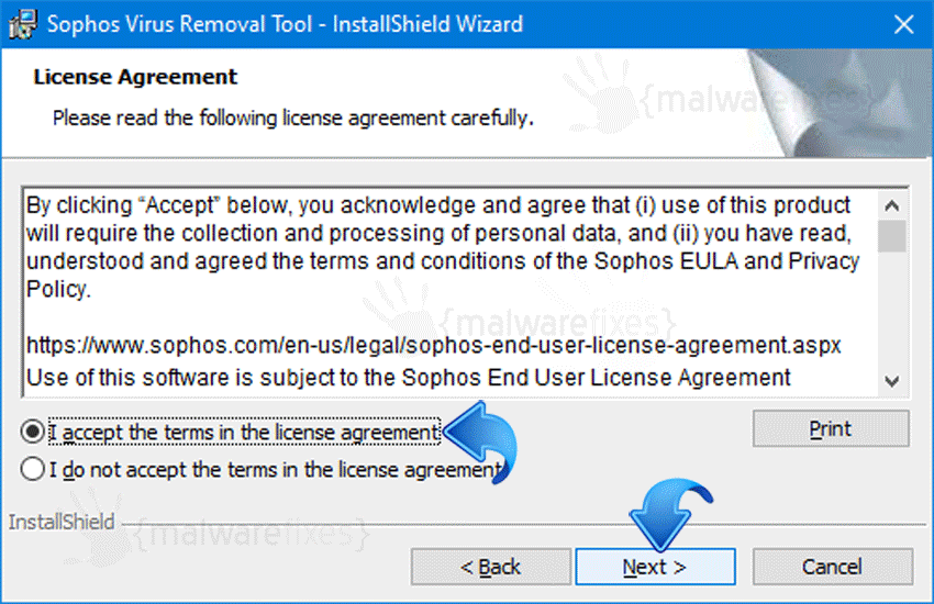 Screenshot of Sophos EULA Page