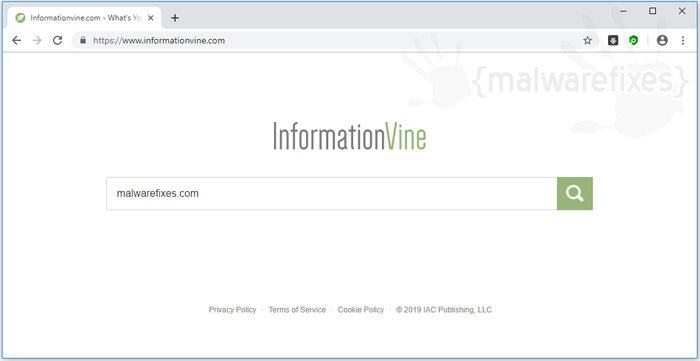 Image of InformationVine.com