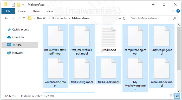 Screenshot of Mool encrypted files