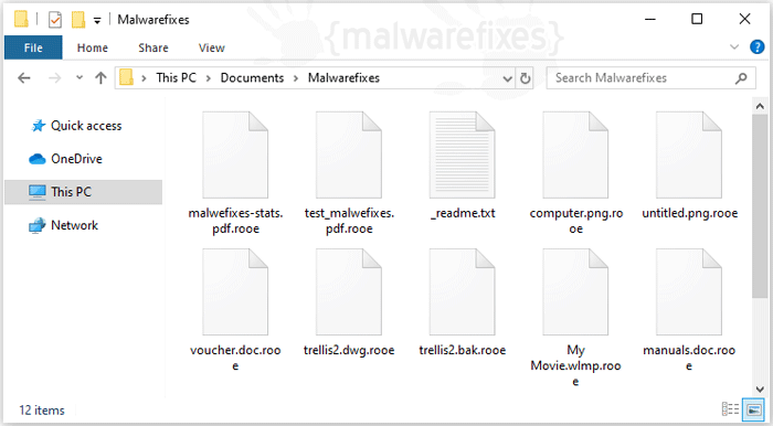 Image of Rooe encrypted files