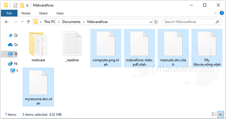 Image of Nlah infected files