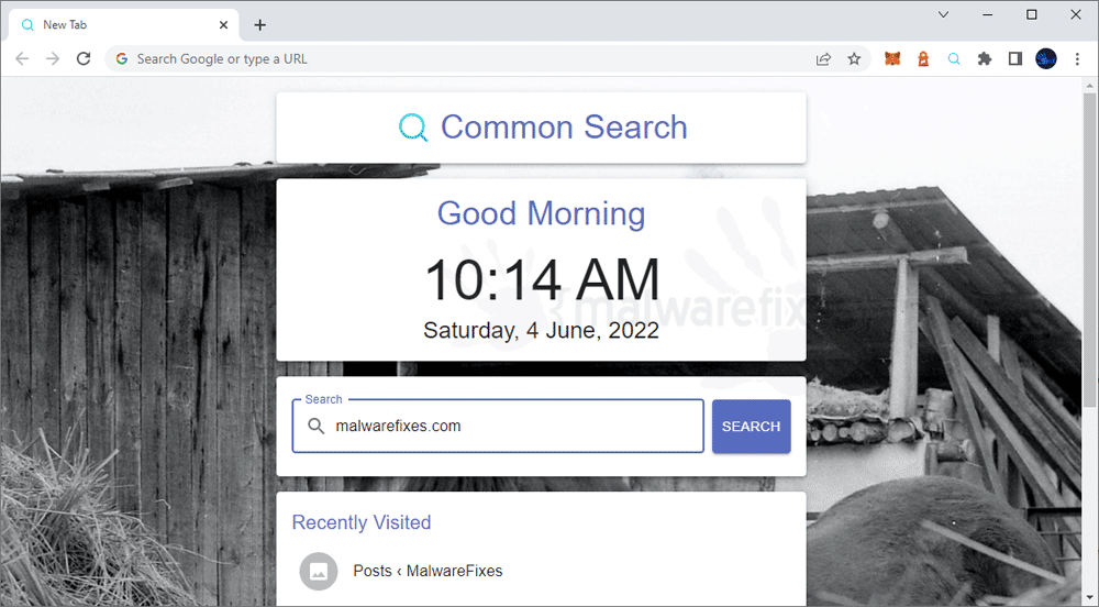 Screenshot of Common Search