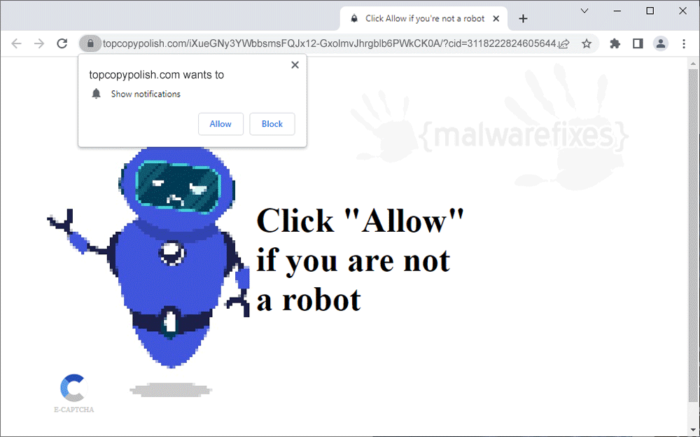 Screenshot of Topcopypolish.com