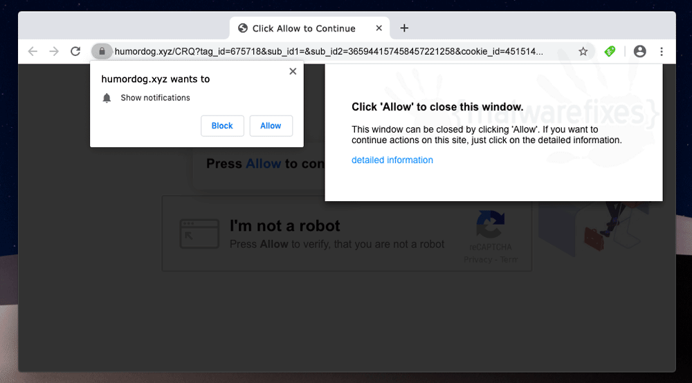 Screenshot of Humordog.xyz
